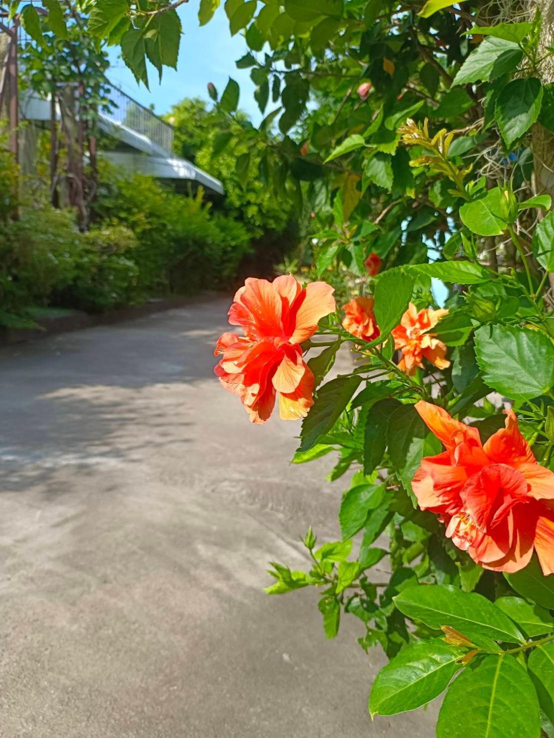 Phannarai House Lamai Beach  Zewnętrze zdjęcie