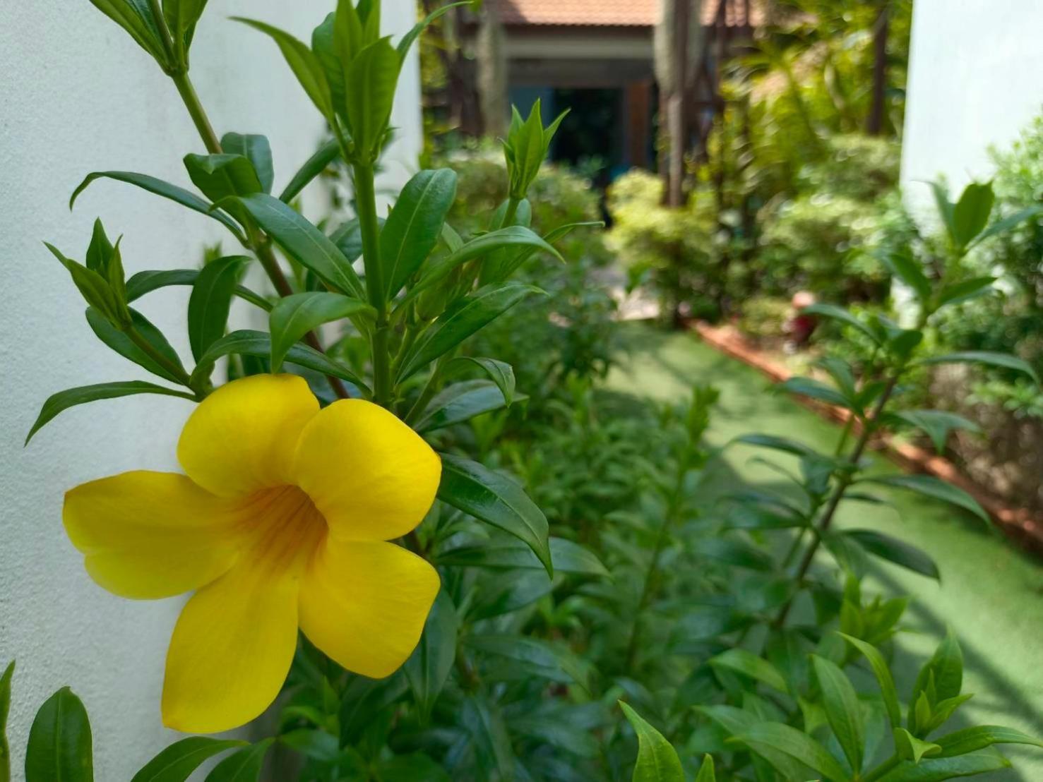 Phannarai House Lamai Beach  Zewnętrze zdjęcie